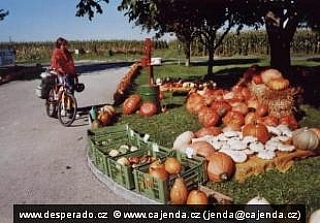 Cyklostezky v Rakousku