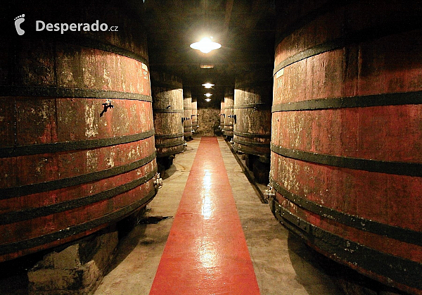 Vinařství Bilbaínas v Haro (Baskicko - Španělsko)
