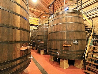 Vinařství Muga v Haro (Baskicko - Španělsko)