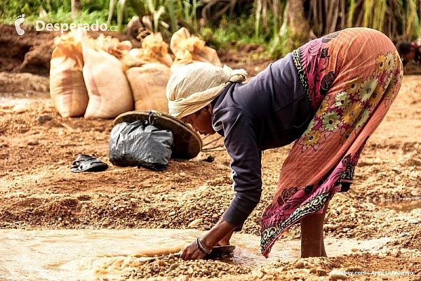 Pracující žena (Madagaskar)