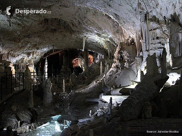 Postojnska jama (Slovinsko)