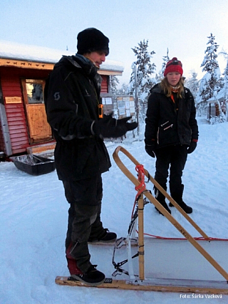 Psí spřežení v Laponsku (Finsko)