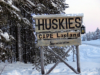 Psí spřežení v Laponsku (Finsko)