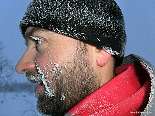 Psí spřežení v Laponsku (Finsko)