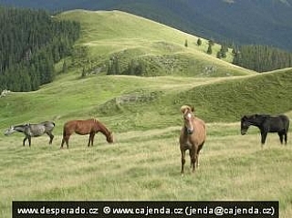 Pohoří Parâng a Capaţini (Rumunsko)