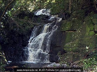 Cestou na Blueduiker (Jihoafrická republika)