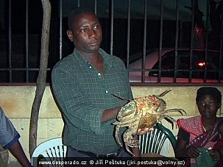 Rybí trh v Maputo (Mosambik)