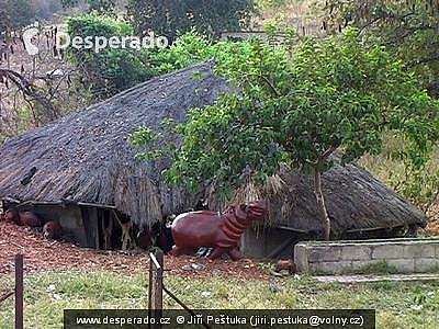 Cestou z Beitbridge do Great Zimbabwe National Monument (Zimbabwe)