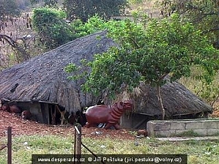 Cestou z Beitbridge do Great Zimbabwe National Monument (Zimbabwe)