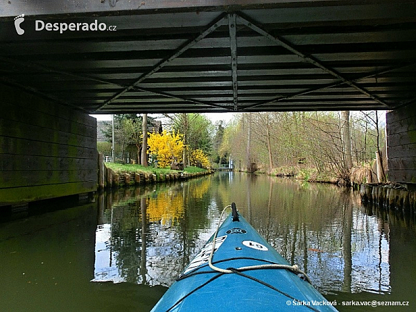 Sprévský les (Německo)