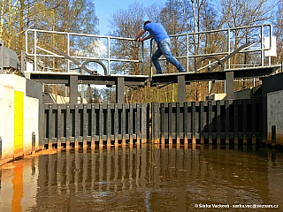 Sprévský les (Německo)