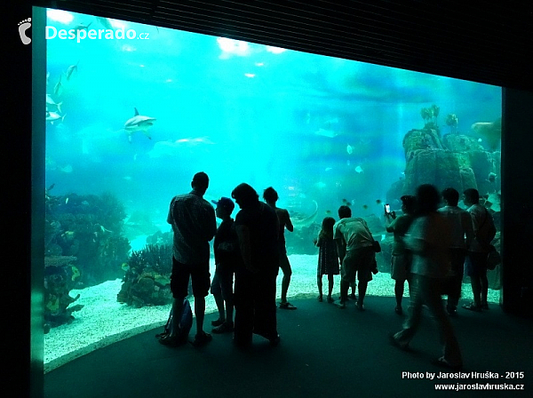 Oceanarium v Lisabonu (Portugalsko)