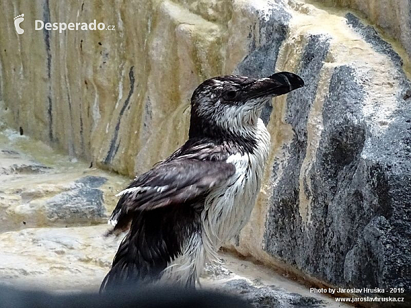 Oceanarium v Lisabonu (Portugalsko)
