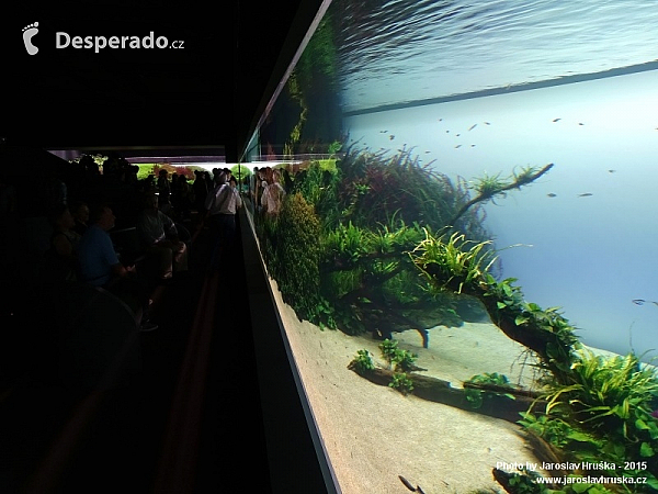 Oceanarium v Lisabonu (Portugalsko)