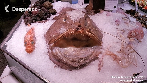 Mercado de San Miguel v Madridu (Španělsko)
