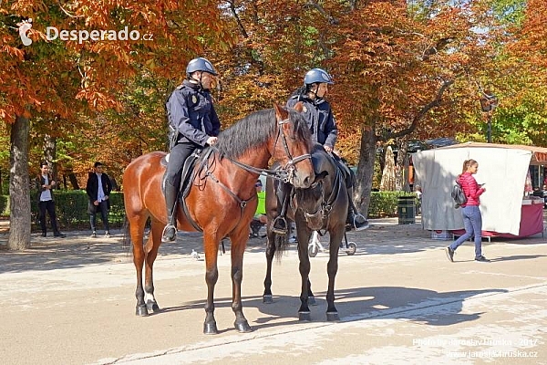 Park Retiro (Parque del Buen Retiro) v Madridu (Španělsko)