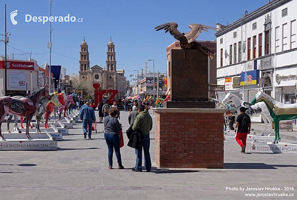 Ciudad Juárez (Mexiko)