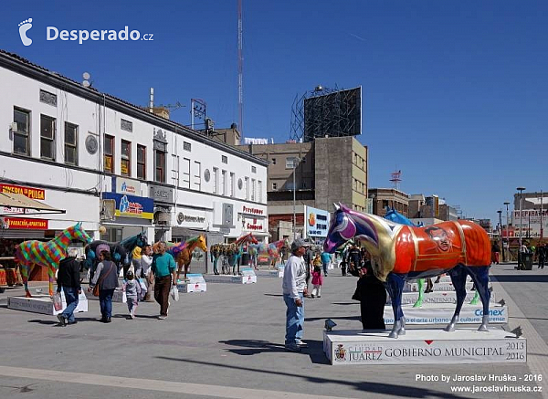 Ciudad Juárez (Mexiko)