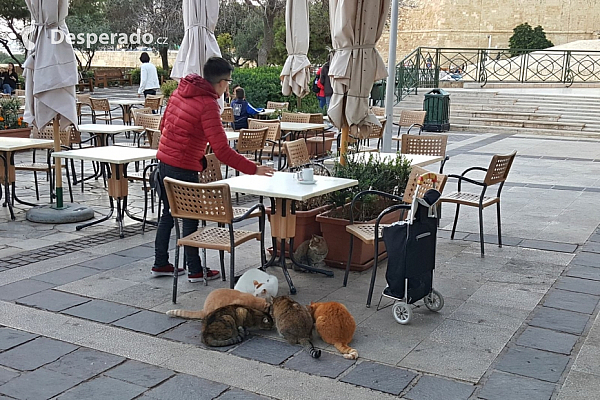 Upper Barrakka Gardens ve Vallettě (Malta)