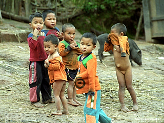 Kudy kam – Muang Sing (Laos)