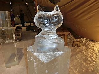 Ledový hotel v Jukkasjärvi (Švédsko)