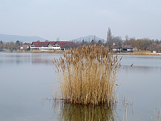 Velenské jezero (Maďarsko)