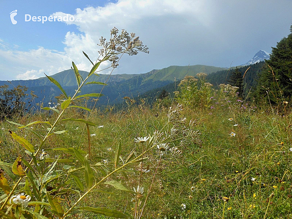 Louky nad Utserou (Gruzie)