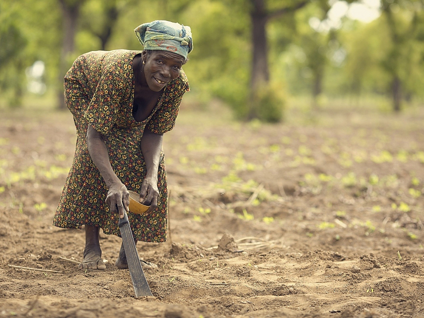 Žena obdělávající pole (Ghana)