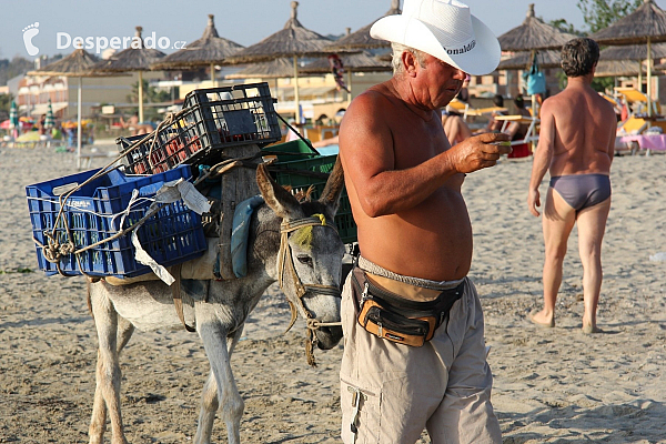 Prodavač s oslem na pláži (Albánie)