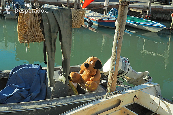 Plšový méďa na lodi (Chioggia - Itálie)