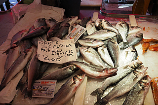 Rybí trh (Chioggia - Itálie)