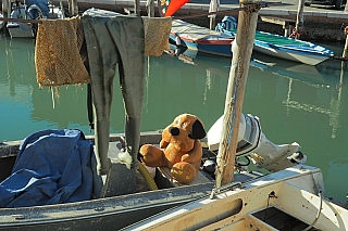 Plšový méďa na lodi (Chioggia - Itálie)