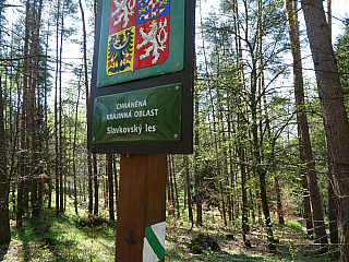 Loket a Slavkovský les