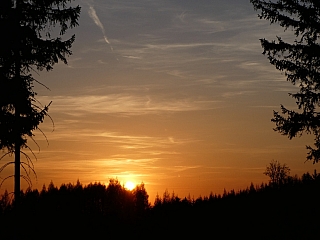 Západ slunce v obětí stromů