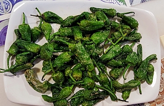Pečené a solené zelené papričky v madridské restauraci (Španělsko)