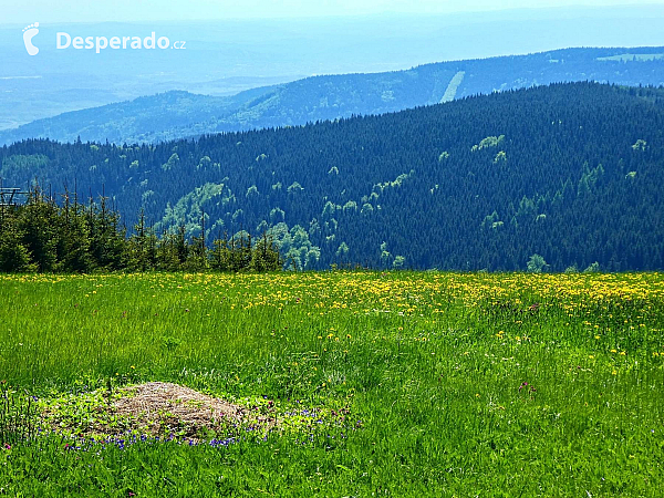 Boží Dar (Česká republika)