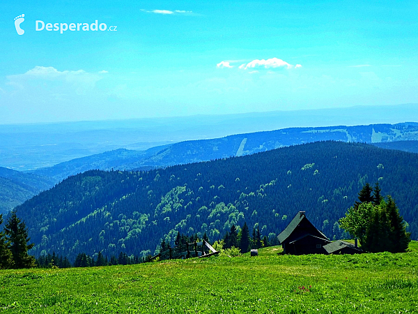 Boží Dar (Česká republika)