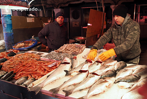 Chioggia (Itálie)