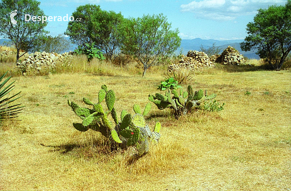 Monte Albán (Mexiko)