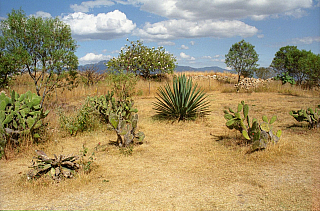 Monte Albán (Mexiko)