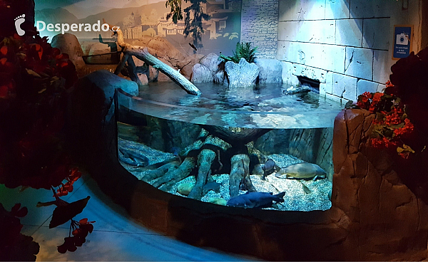Akvárium Sea Life v Lido di Jesolo (Itálie)