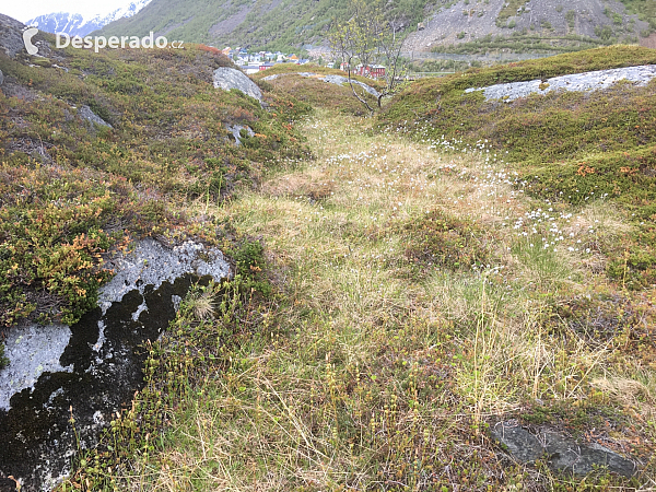 Okolí Bergsfjord (Norsko)