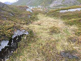 Okolí Bergsfjord (Norsko)