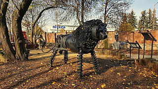 Lev v KovoZOO ve Starém Městě (Česká republika)
