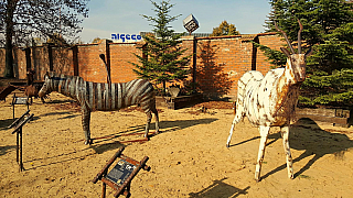 Zebra a pakůň v KovoZOO ve Starém Městě (Česká republika)