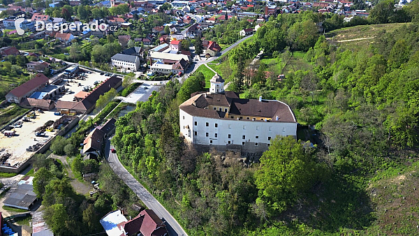 Hrad Malenovice (Česká republika)