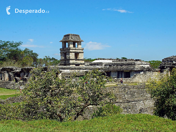 Palenque (Mexiko)