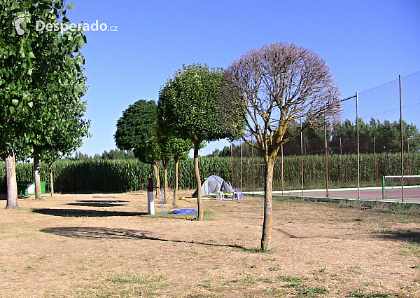 Camping Pico Verde u městečka Valencia de Don Juan (Španělsko)