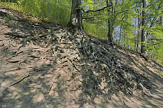 Hrad Hukvaldy (Česká republika)