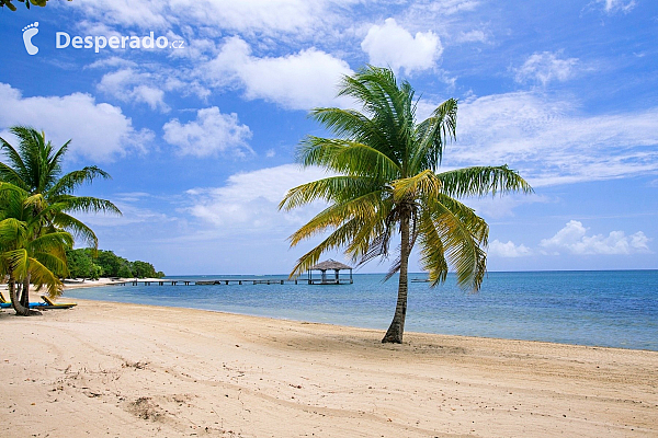 Ostrov Roatán (Honduras)